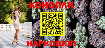 гидра Краснознаменск