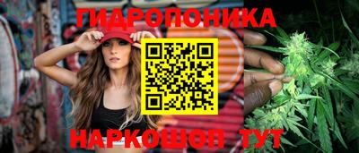 spice Краснодар